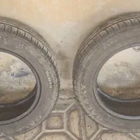 لاستیک گلدستون