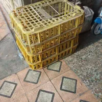 دوعدد قفسه مرغ یکیش نوهست ویکیش درحد نو دربراش|لوازم جانبی حیوانات|ایذه, |دیوار