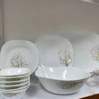 سرویس آرکوپال|ظروف سرو و پذیرایی|میاندوآب, |دیوار