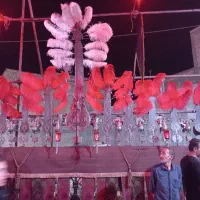 علامت ۱۵ تیغه بسیار خوش قلق بدون زمین خوردگی