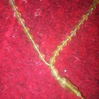 تسبیح شاه مقصود