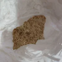 برنج فجر امسال|خوردنی و آشامیدنی|فاضل آباد, |دیوار