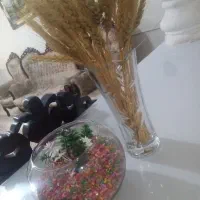 تنگ ماهی|گل مصنوعی|نیشابور, سرآب کوشک|دیوار