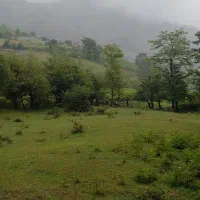 زمین ییلاقی ارده