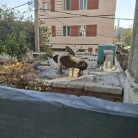 ۶۵ متری چیتگر جنوبی|اجارهٔ آپارتمان|تهران, چیتگر جنوبی|دیوار