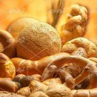 فروشنده خانم نیازمندیم