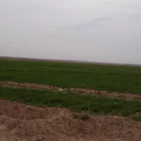 زمین کشاورزی