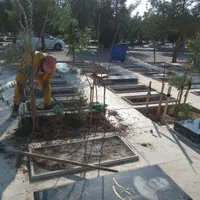 سرقبر کنارقبر سرمزار کاشتن نهال درخت گل وگیاه در|خدمات باغبانی و درختکاری|تهران, باغ خزانه|دیوار