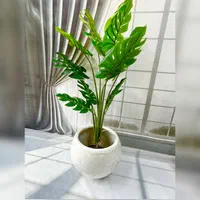 درختچه های وارداتی|گل مصنوعی|رشت, لاکان|دیوار