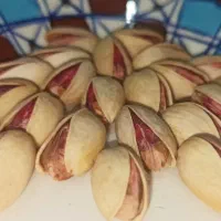 پسته رفسنجان احمدآقایی توچین در جه ۱