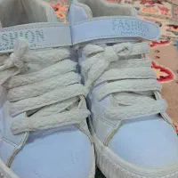 کفش|کیف، کفش، کمربند|اندیمشک, |دیوار