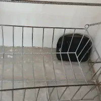 گهواره اهنی