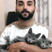 گربه اسکاتیش|گربه|گلبهار, شهر جدید گلبهار|دیوار