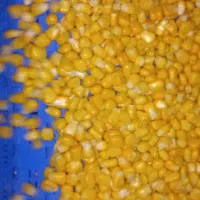 ذرت شیرین،ذرت شیرین یخ زده|خوردنی و آشامیدنی|تهران, شهرک فرهنگیان|دیوار