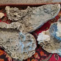 وسایل آکواریم