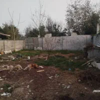 ۲۱۰متر  زمین  چهار دیواری  با۴۰ بنا|فروش زمین و ملک کلنگی|طاهرگوراب, |دیوار