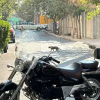 هیوسانگ آکویلا درحد Aquila