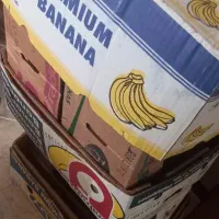 کارتن موز