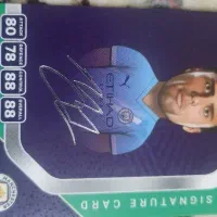 کیمدی 2026(امضاء رودری