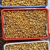 انجیر درجه ۱ استهبان