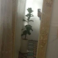 آیینه قدی رنگ کرم