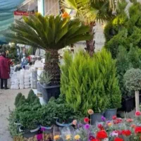 باغبانی کامیونداران احمد آباد نسیم شهر واوان