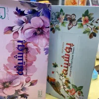 دستمال کاغذی|مواد شوینده و دستمال کاغذی|رشت, معلم|دیوار