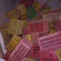 سبد