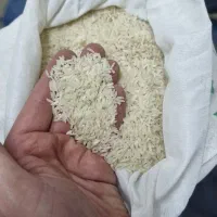 برنج هاشمی استانه درجه یک