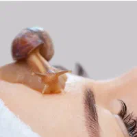 فروش 5 عدد حلزون درمانگر