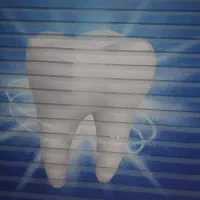 دندانسازی صدف