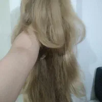 فروش کلاگیس