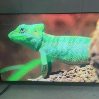 تلوزیون 50 اینچ جی پلاس4k اسمارت استوک نمایشگاهی|تلویزیون و پروژکتور|تهران, اکباتان|دیوار