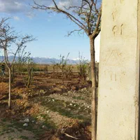 زمین ۲۱۱ متر باغچه سندتک برگ کردان سهیلیه زعفرانیه|فروش زمین و ملک کلنگی|کرج, کوی مدرس|دیوار
