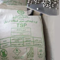 انواع رقم بذر گندم ضد عفونی شده پلمپ|گل و گیاه طبیعی|گنبد کاووس, |دیوار