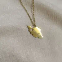 گردنبند حکاکی استیل رنگ ثابت|بدلیجات|تبریز, |دیوار