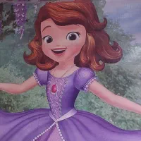 بنر تولد تم سوفیا ۹۵۰ تومن|اسباببازی|تهران, تهرانسر شمالی|دیوار