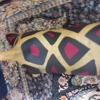 پوست درجه یک آب بندی شده خوش استایل|سازهای بادی|چغادک, |دیوار