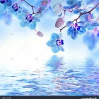 استخدام نیروی خانم در دفتر  کار با تلفن