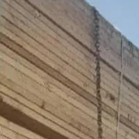 فروش تخته الوار روسی
