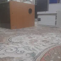 لونه پرنده ۲ عدد بزرگ و کوچک