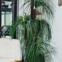 گل مصنوعی