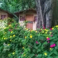 اجاره-کلبه-چوبی-در-جنگل-دو-هزار