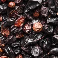 فروش ضایعات خرما