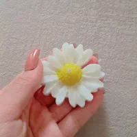 شمع گل بابونه