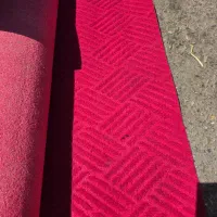 موکت درحدنو|موکت|بجنورد, |دیوار