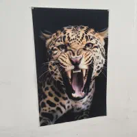پوستر مخملی سایز 50*70