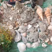 اکواریوم ماهی با همه تجهیزات|ماهی|ماکو, |دیوار