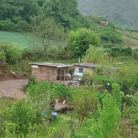 ویلای جنگلی کوهستانی|فروش خانه و ویلا|مشهد, هنرستان|دیوار