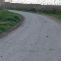 1500مترزراعی-خوش-قواره-حوالی-بافت-مسکونی